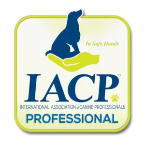 A yellow and white sticker with the words iacp professional