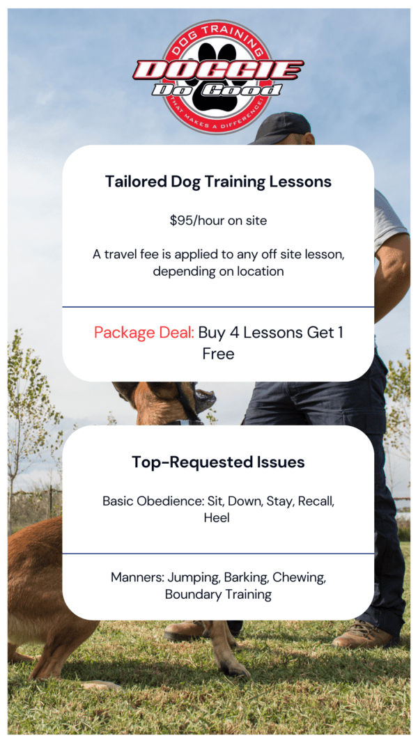 Private Lessons | Private Dog Training by Doggie Do Good